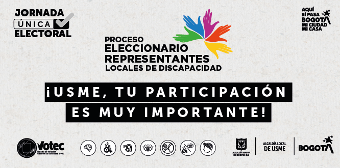 eleccionario de representantes a los Consejos Locales de Discapacidad