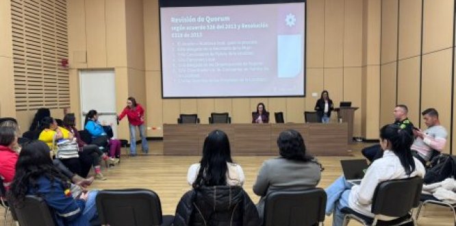 Consejo Local de Mujeres de Usme Consejo Local de Mujeres de Usme