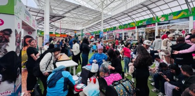 Jornada de Adopción animal en Usme