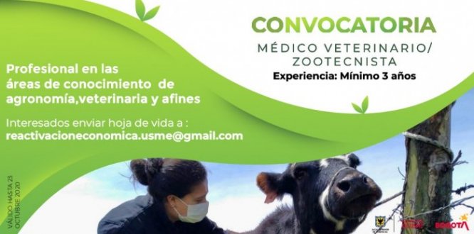 VETERINARIO CONVOCATORIA VETERINARIO CONVOCATORIA