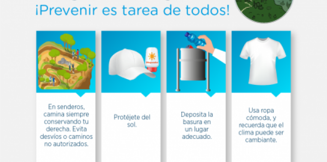 gestión del riesgo