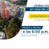 ¿Sabes como actuar en un Terremoto?